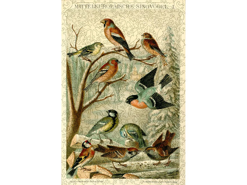 Central European Songbirds Wooden Puzzle