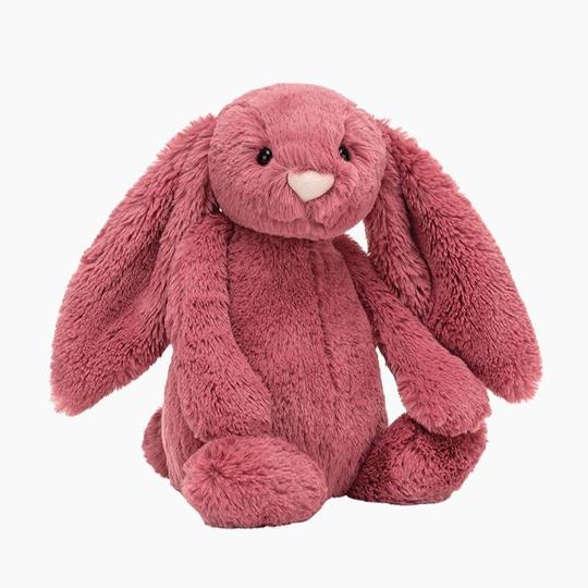 Bashful Bunny
