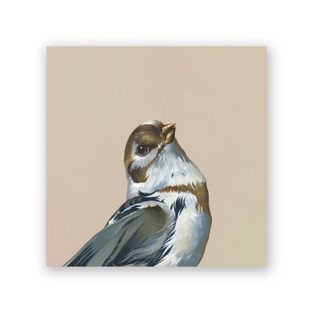 Snow Bunting on Birch