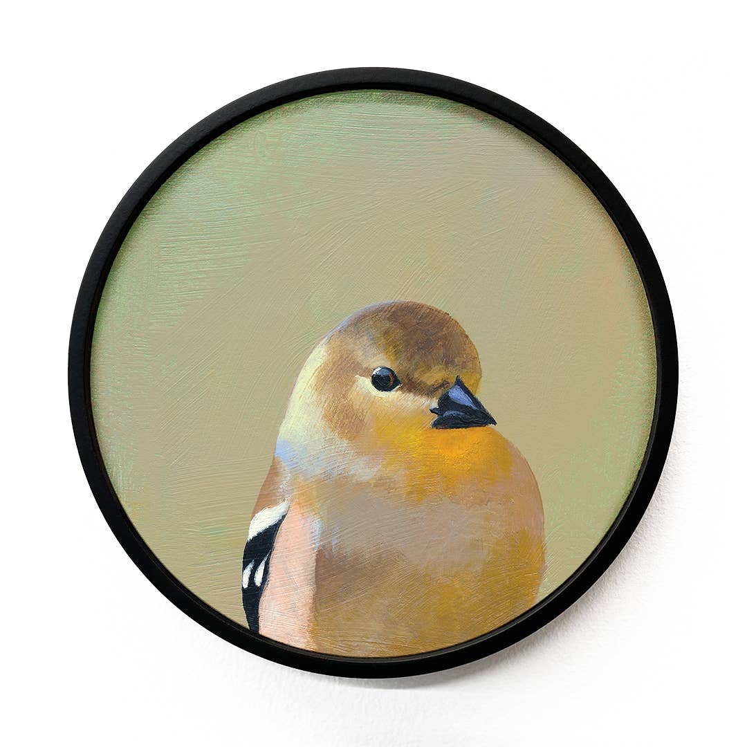 Goldfinch on Round Birch