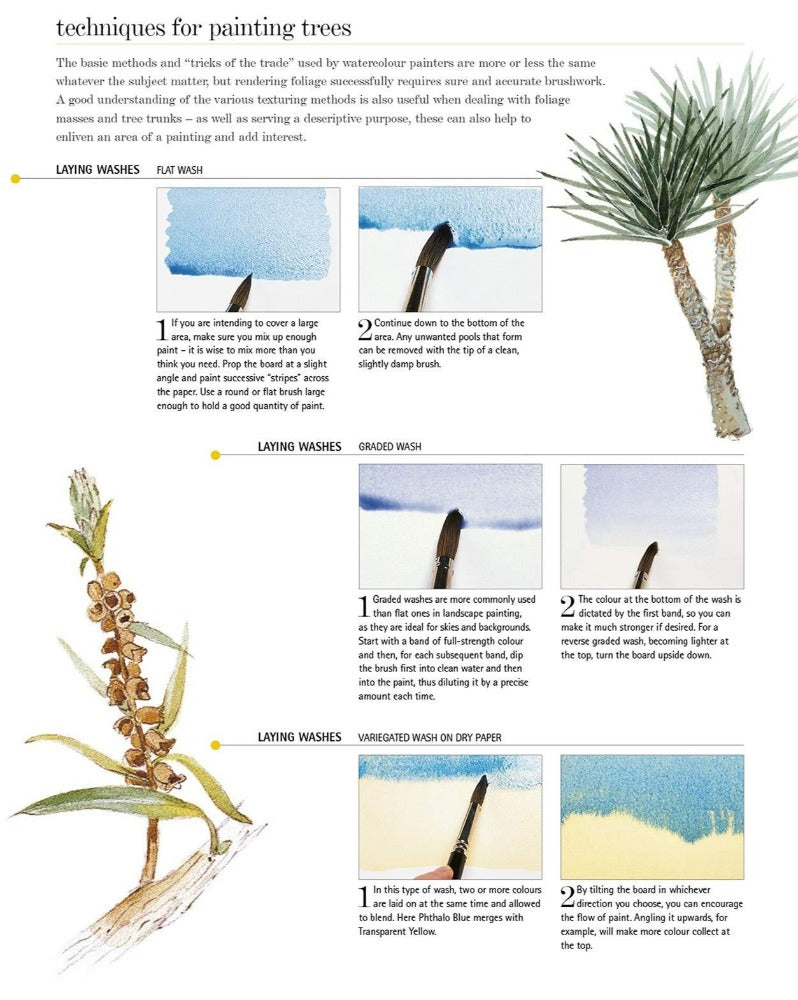 Watercolor A to Z of Trees and Foliage