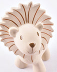 Lion Teether, Rattle, & Bath Toy