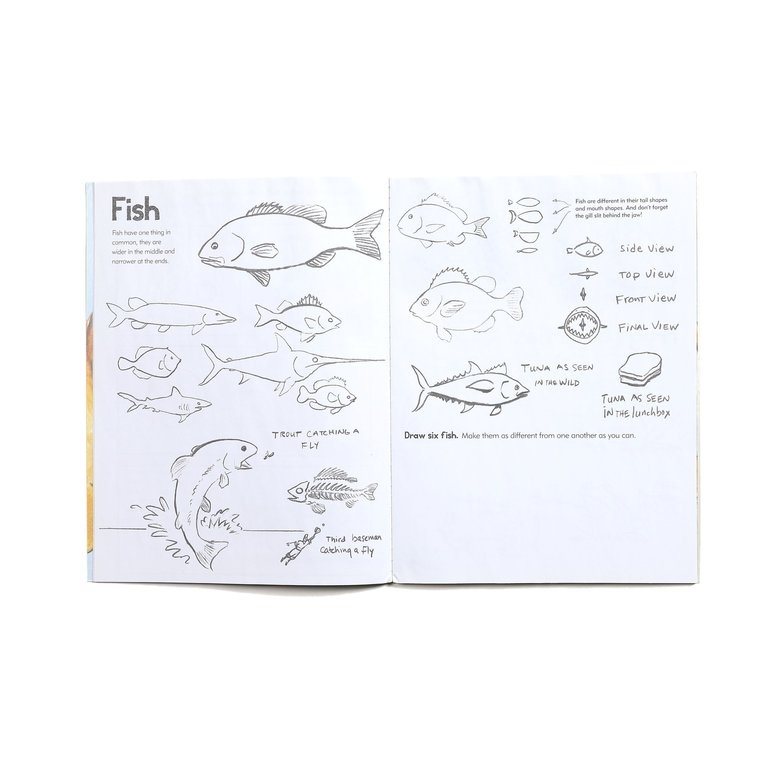 Learn to Draw Animals