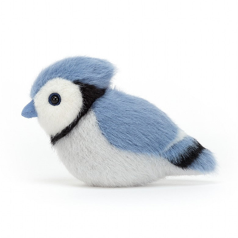 Birdling Blue Jay Stuffie