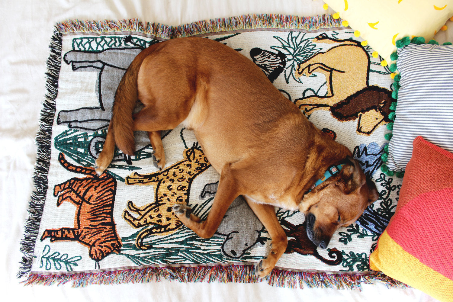 Into the Jungle Mini Throw