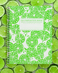 Limes Decomposition Book