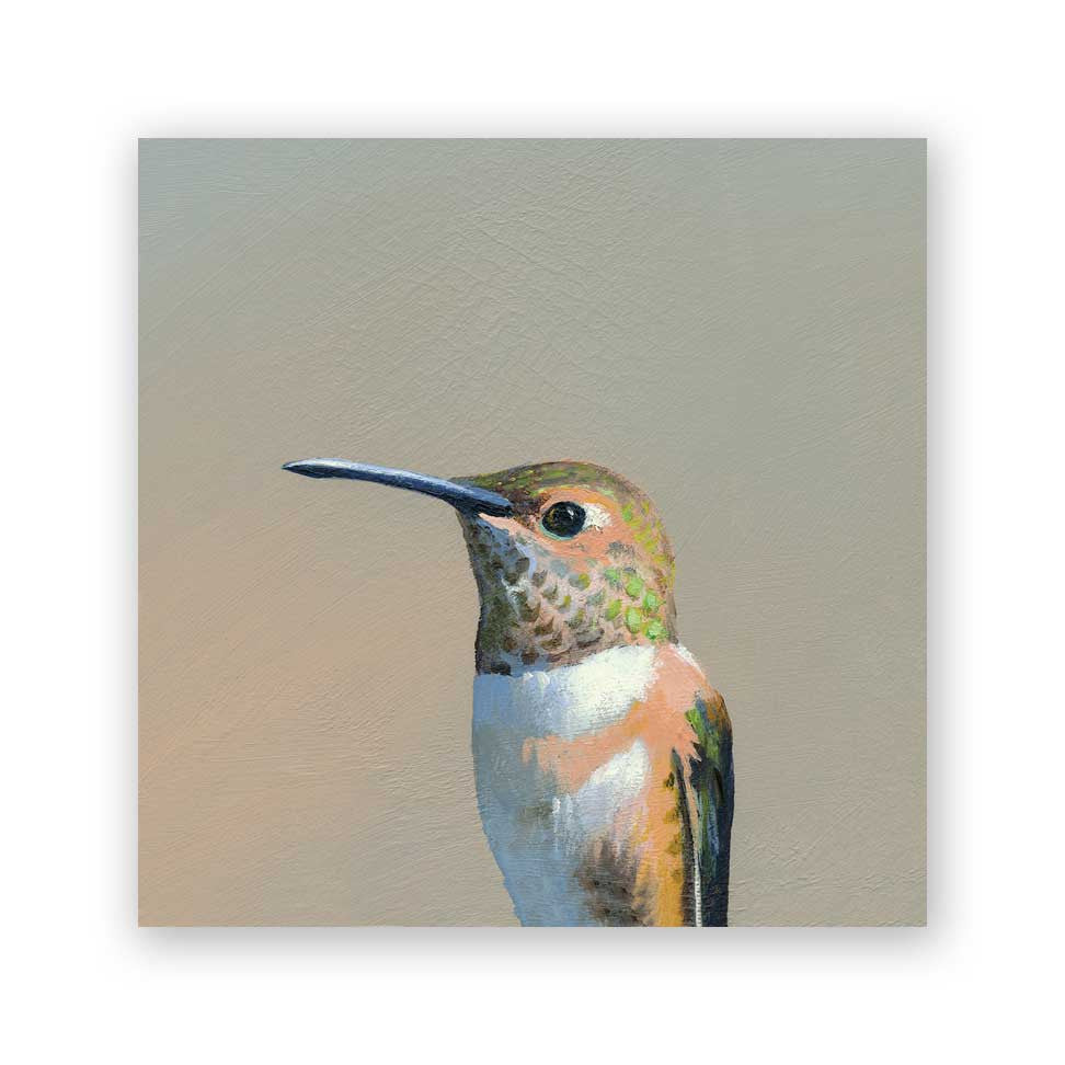 Hummingbird on Birch