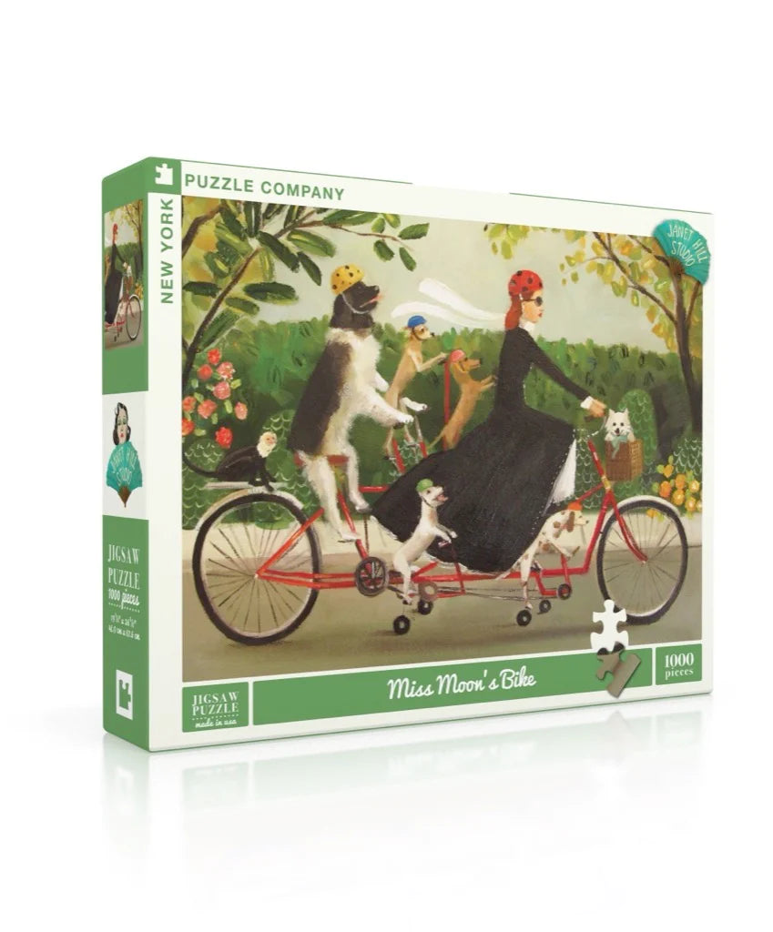 Miss Moon&#39;s Bike Puzzle