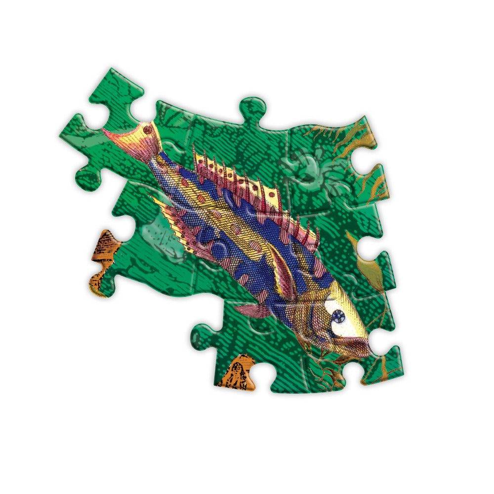 Fish &amp; Boats Puzzle
