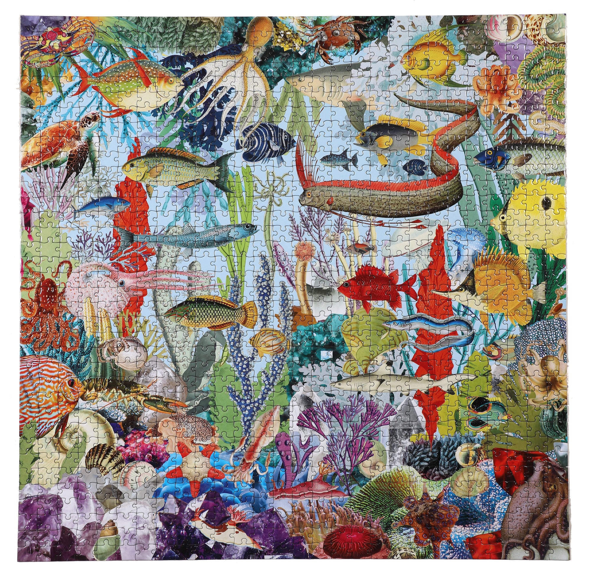 Gems and Fish Puzzle