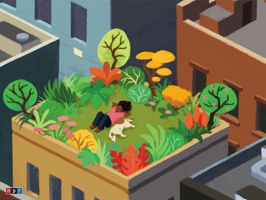 Rooftop Relaxation Puzzle
