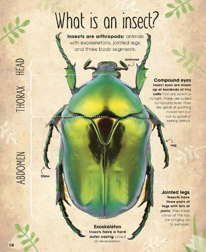 The Book of Brilliant Bugs