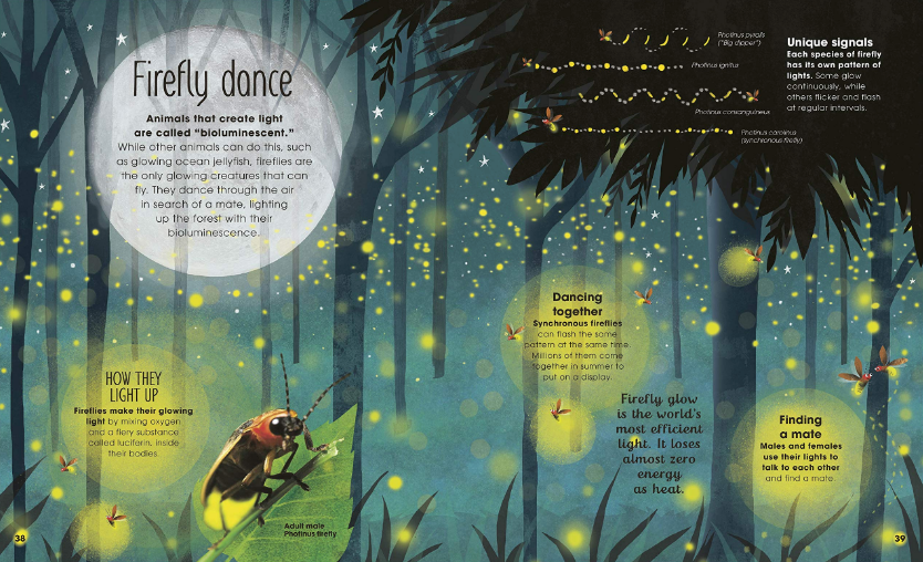The Book of Brilliant Bugs