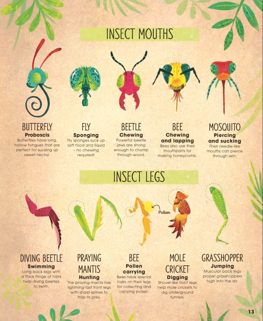 The Book of Brilliant Bugs