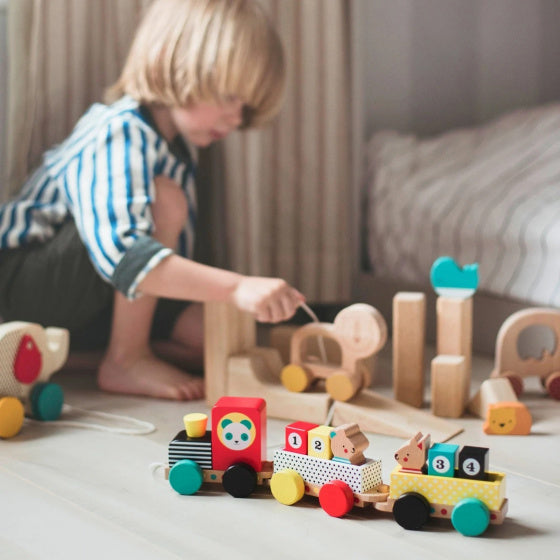 Animal Friends Wooden Train Set