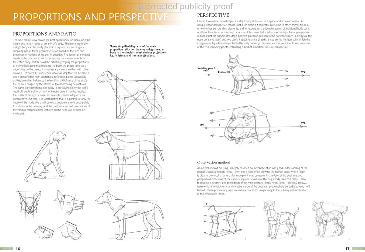 Drawing Animals Using Grids – Red Orchard