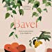 Bavel