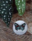 Butterfly Paperweight