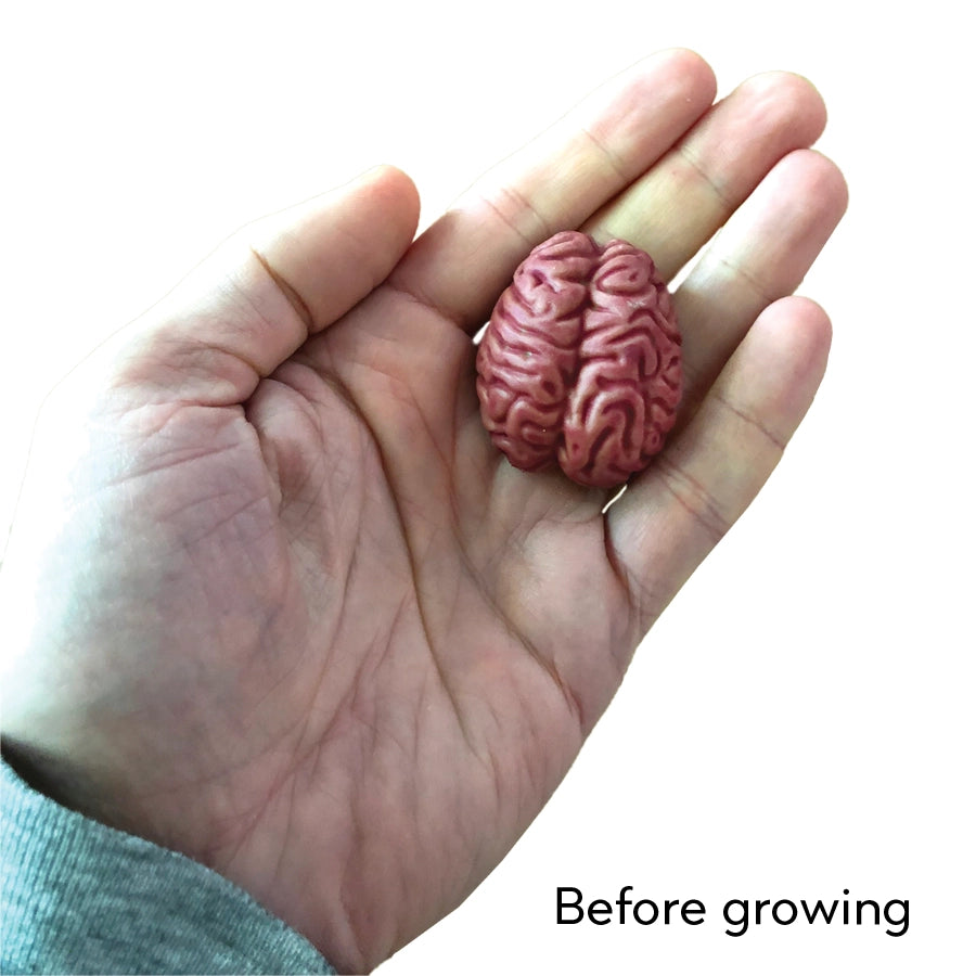 Humongous Absorbent Polymer Brain