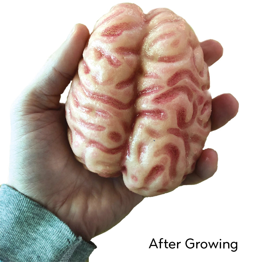 Humongous Absorbent Polymer Brain