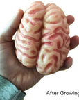 Humongous Absorbent Polymer Brain