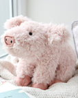 Curvie Pig Stuffie