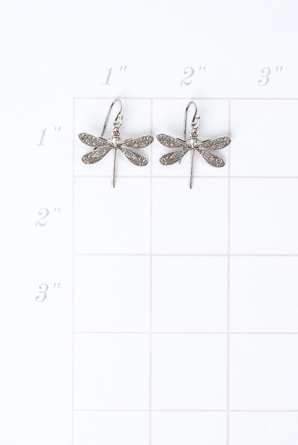 Lakeside Silver Dragonflies