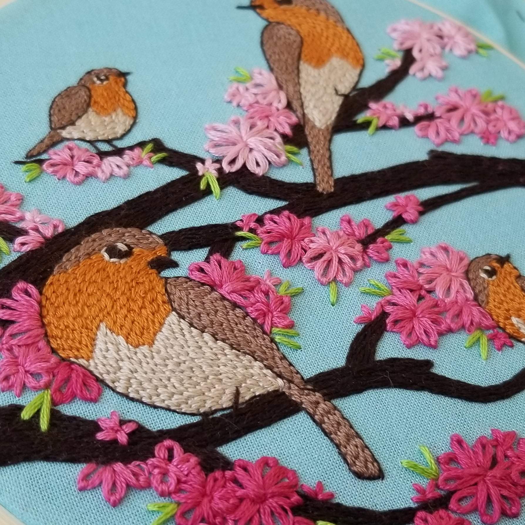 Spring Birds Embroidery Kit