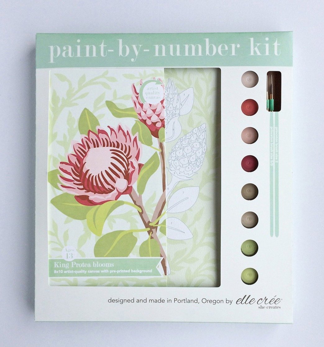King Protea Paint-by-Number