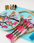 Spring Birds Embroidery Kit