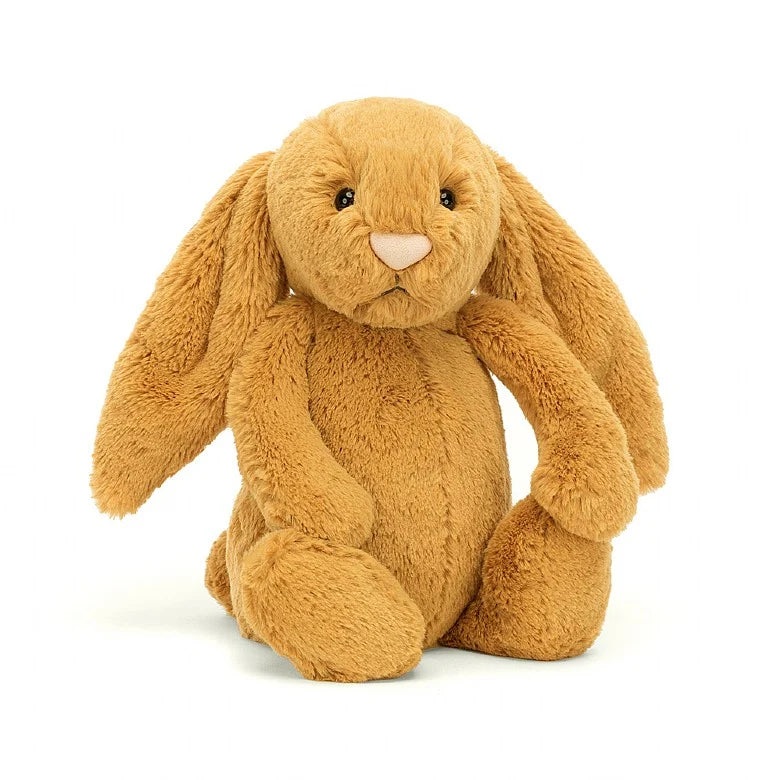 Bashful Bunny