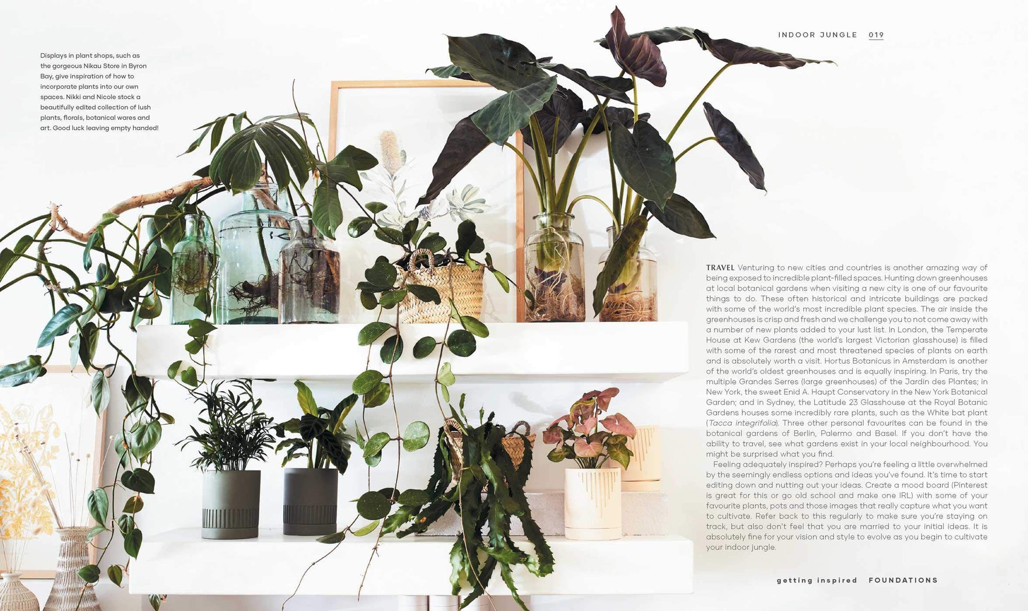 Indoor Jungle