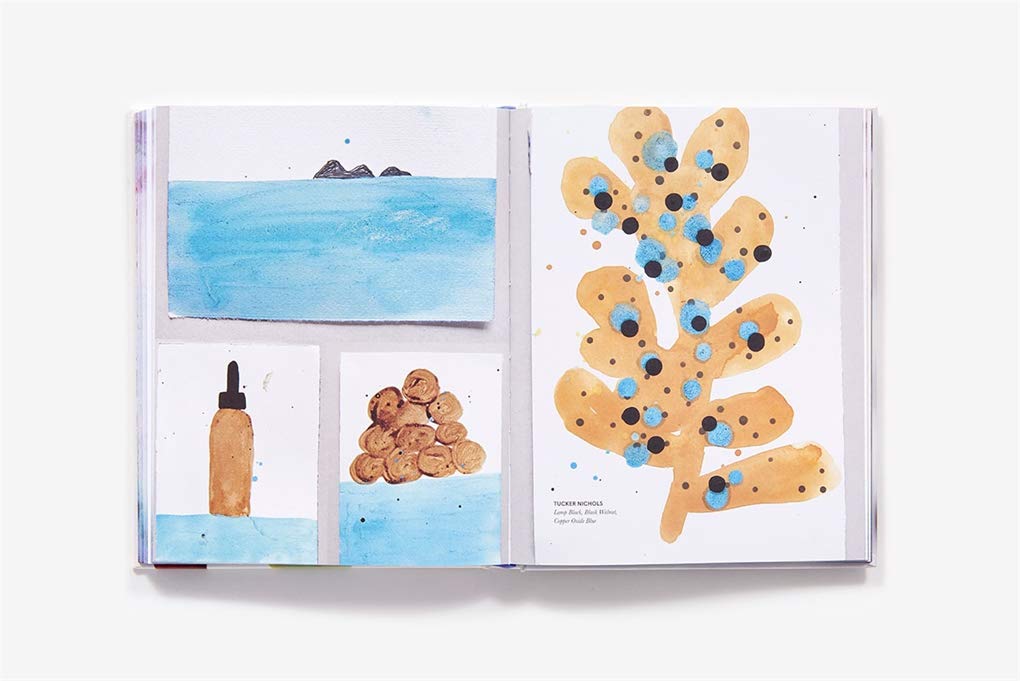 Make Ink: A Forager&#39;s Guide to Natural Inkmaking