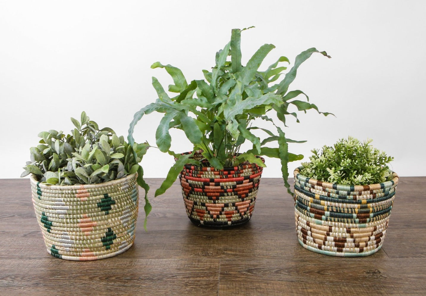 Coral Mwiba Planter