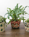 Coral Mwiba Planter