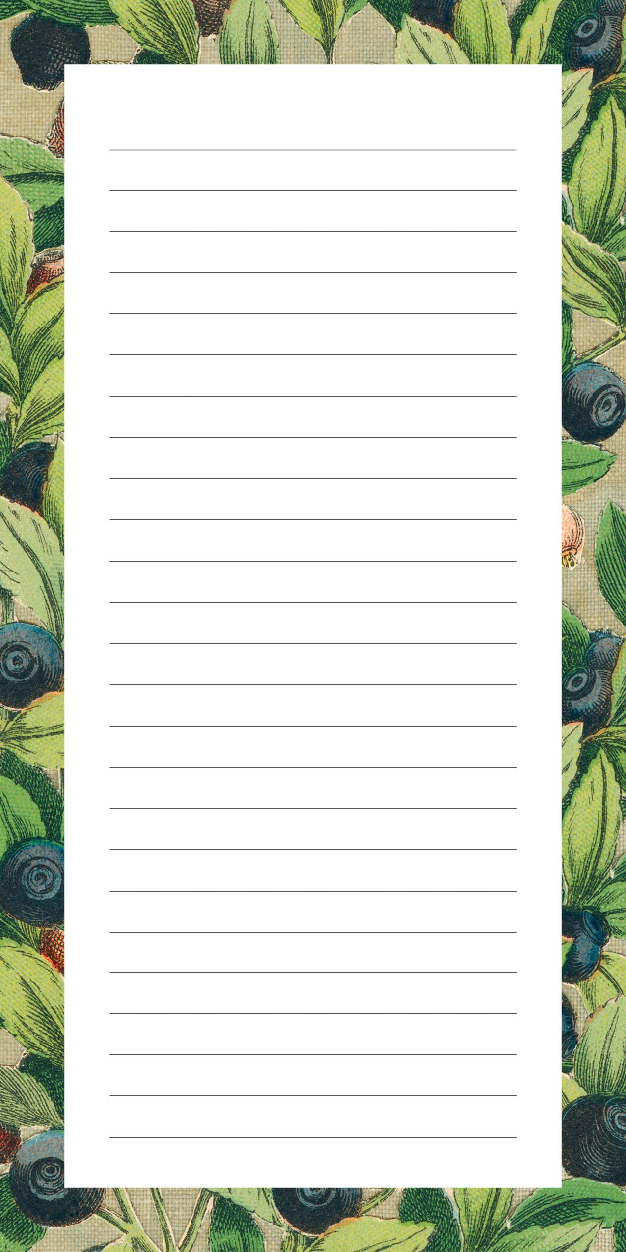 John Derian: Kitchen Delights Notepad