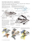 Law's Guide to Drawing Birds