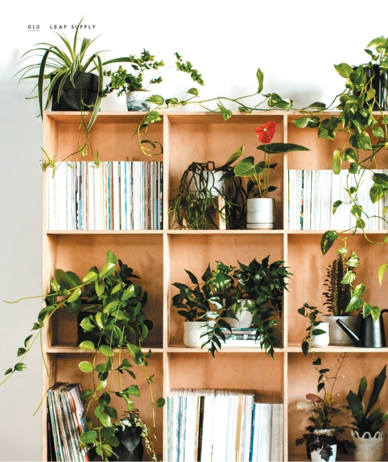 Leaf Supply