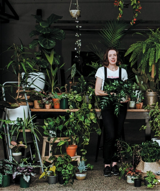 Leaf Supply