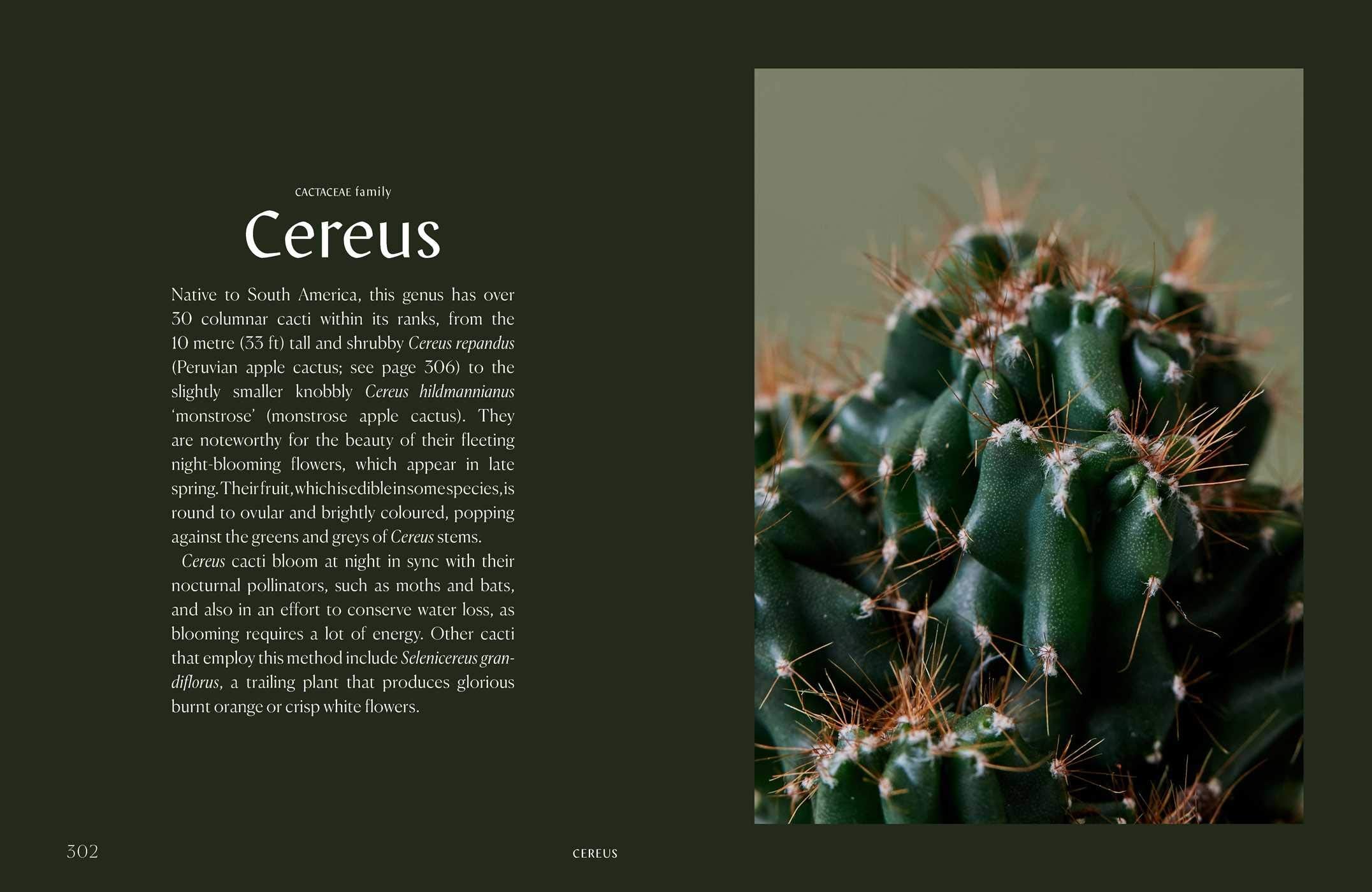 Plantopedia: The Definitive Guide to Housplants