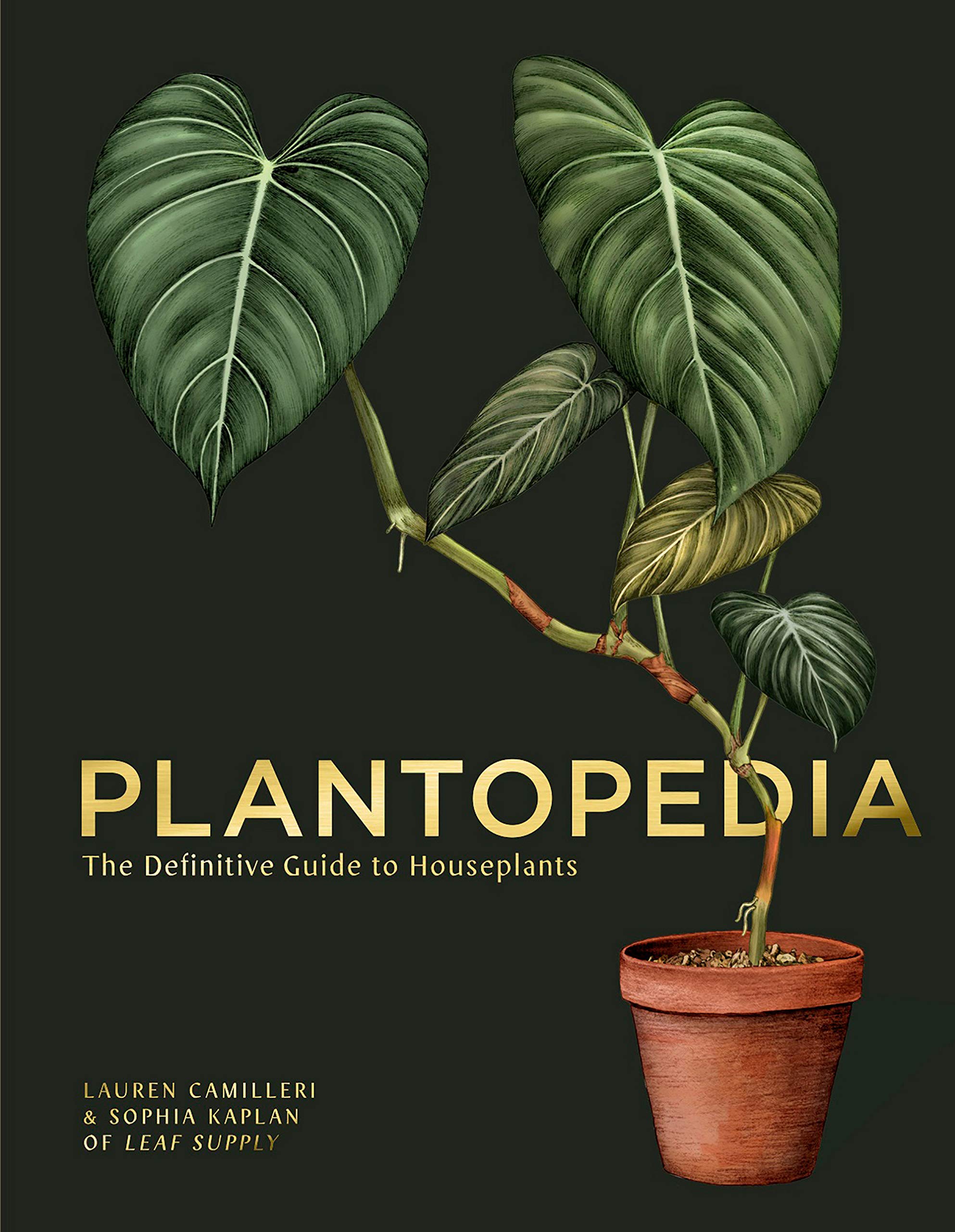 Plantopedia: The Definitive Guide to Housplants