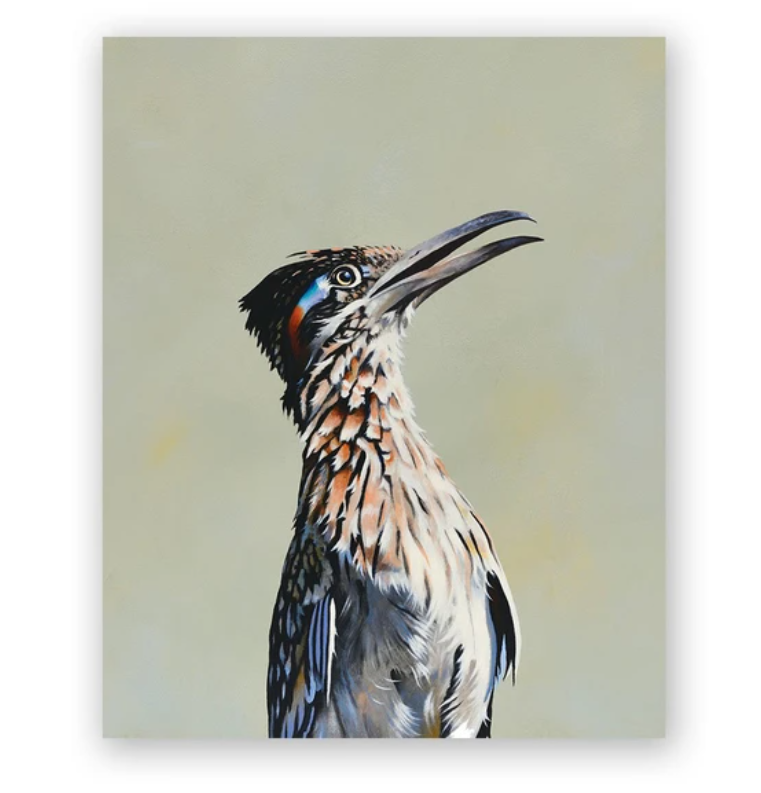 Roadrunner on Birch