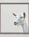 Side Eye Goat Mini Canvas