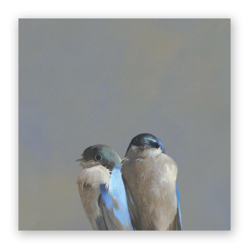 Swallow Pair on Birch