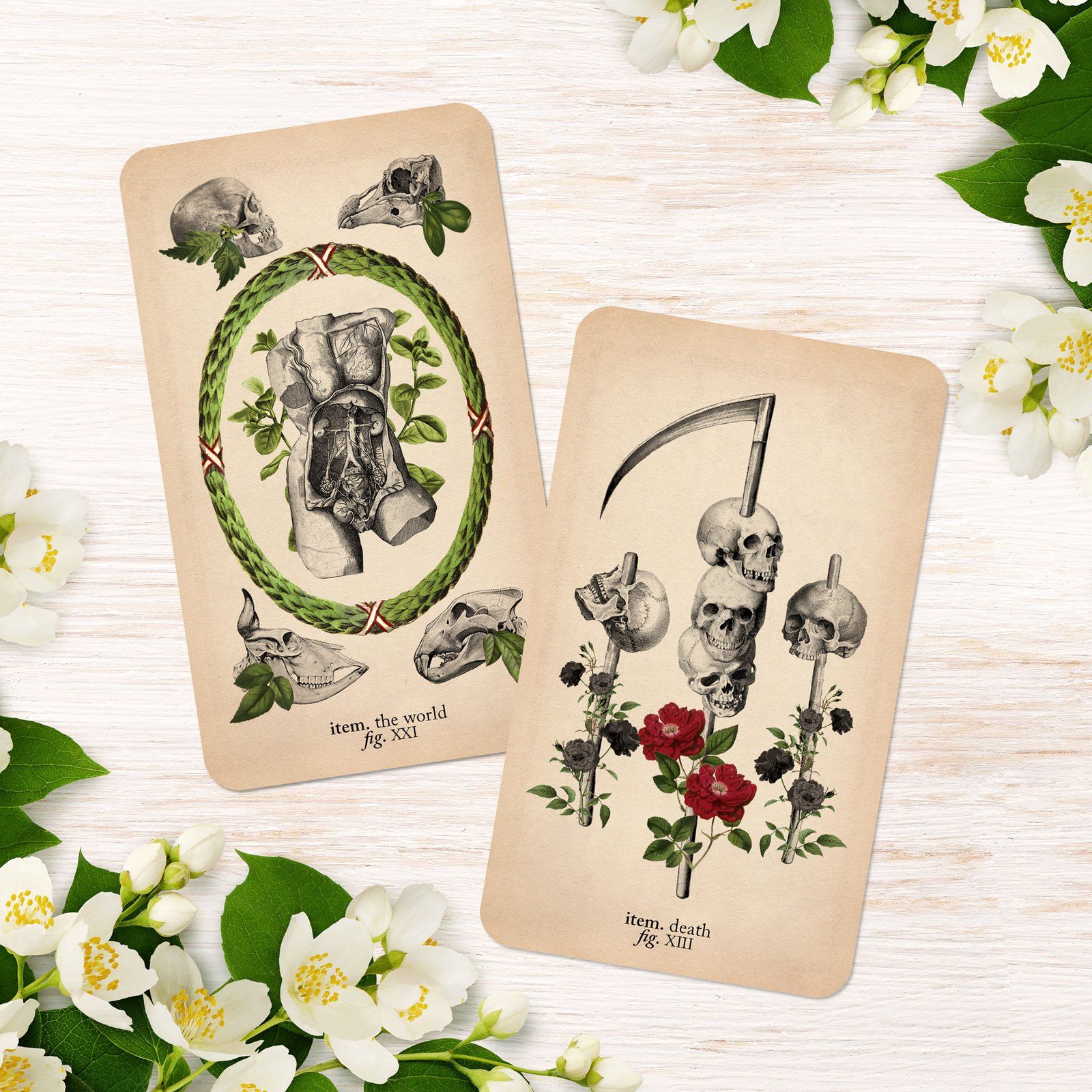 The Antique Anatomy Tarot