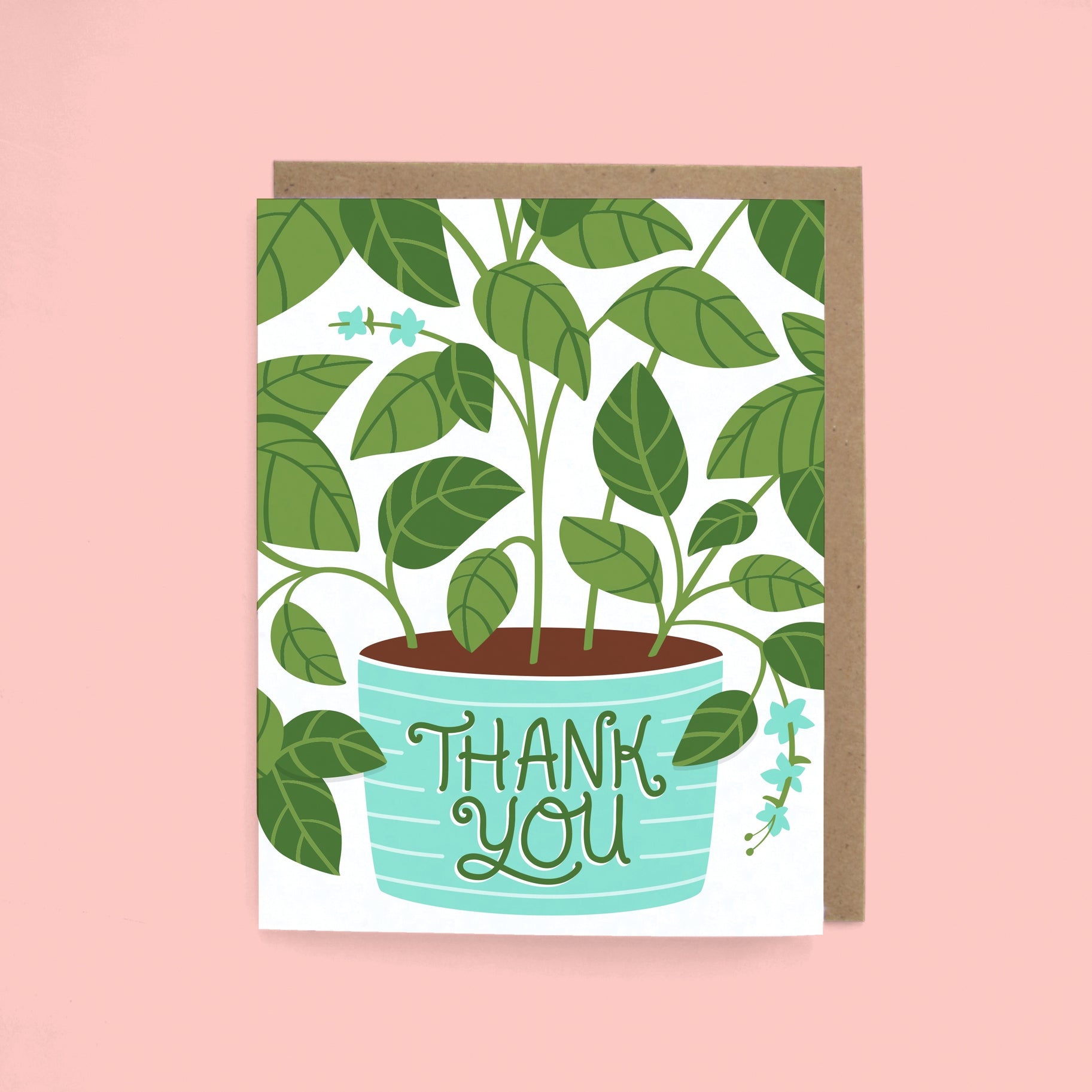 Boxed Basil Thank You Cards