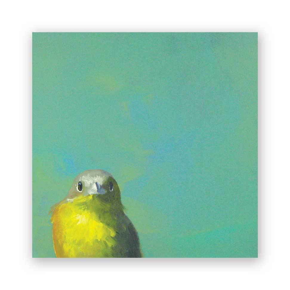 Yellow Bird on Birch